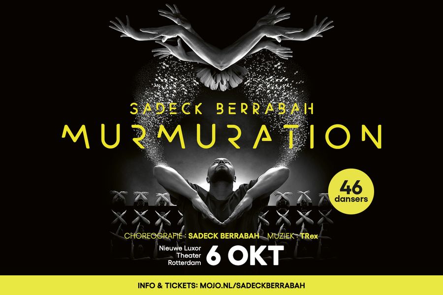 Sadeck Berrabah - Murmuration